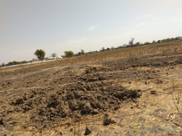 verger-de-8-814-m2-vers-sandiara-mbour-big-3