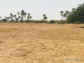 terrain-agricole-de-9103-m2-vers-fimela-fatick-small-1