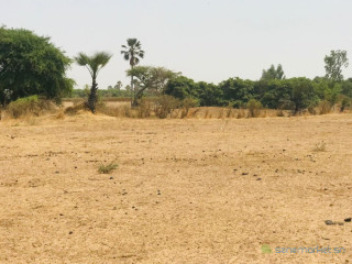 Terrain Agricole de 9103 M² vers Fimela Fatick