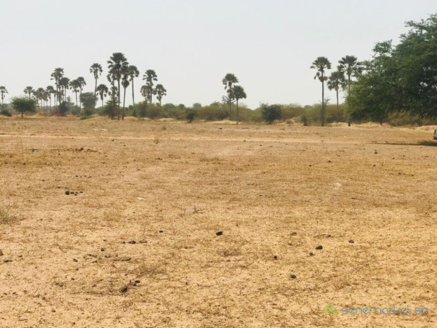 terrain-agricole-de-9103-m2-vers-fimela-fatick-big-2