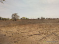 verger-de-9-hectares-vers-sindia-mbour-small-0