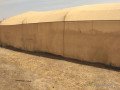 verger-de-9-hectares-vers-sindia-mbour-small-2