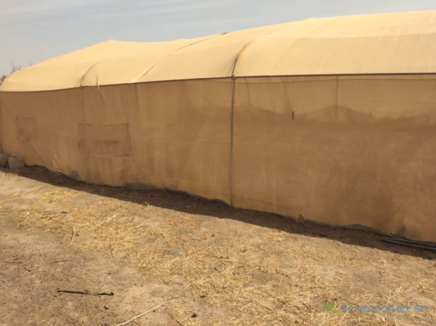 verger-de-9-hectares-vers-sindia-mbour-big-2