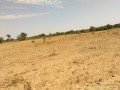 terrain-agricole-de-9942-m2-vers-sandiara-mbour-small-3