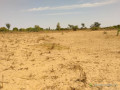 terrain-agricole-de-9942-m2-vers-sandiara-mbour-small-2