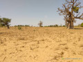 terrain-agricole-de-9942-m2-vers-sandiara-mbour-small-0