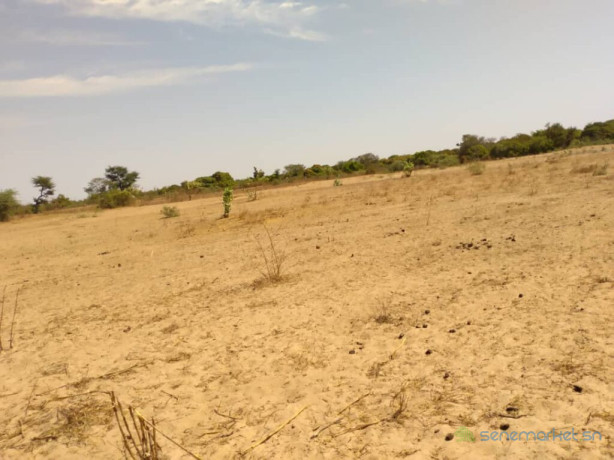 terrain-agricole-de-9942-m2-vers-sandiara-mbour-big-3
