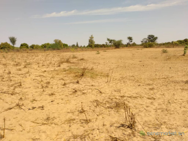 terrain-agricole-de-9942-m2-vers-sandiara-mbour-big-2