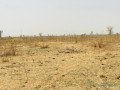 terrain-agricole-se-141-hectare-vers-ngueniene-mbour-small-1