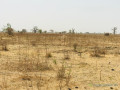 terrain-agricole-se-141-hectare-vers-ngueniene-mbour-small-2