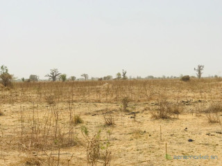 Terrain Agricole se 1,41 Hectare vers Nguéniéne Mbour