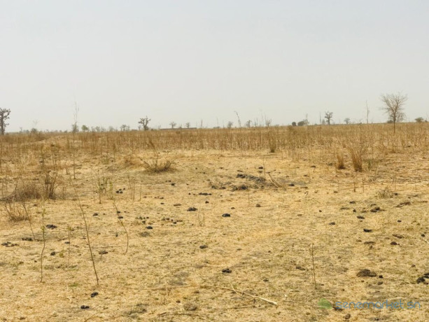 terrain-agricole-se-141-hectare-vers-ngueniene-mbour-big-1