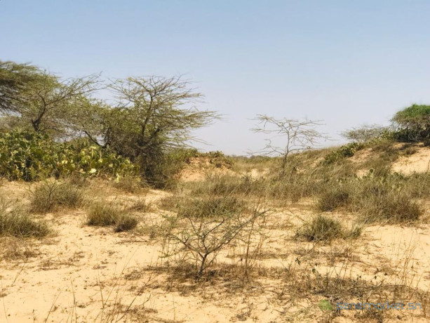 verger-de-2-hectares-vers-gandiol-saint-louis-big-0