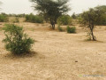 terrain-agricole-de-925-hectares-vers-keur-samba-kane-bambay-small-1