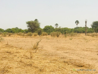 Terrain Agricole de 9,25 Hectares vers Keur Samba Kane Bambay