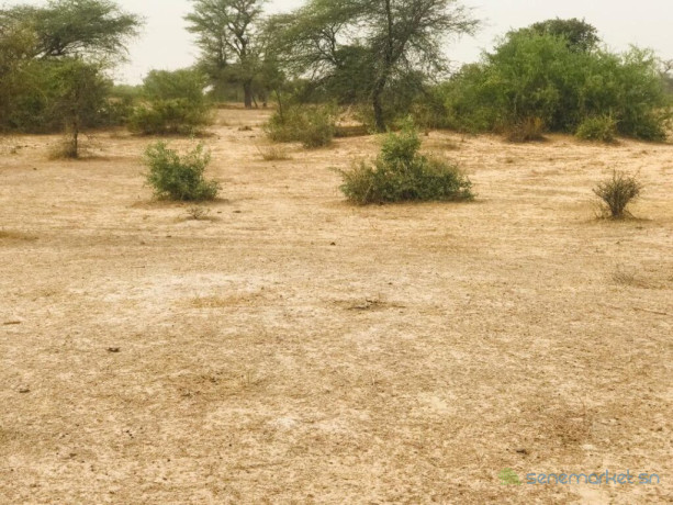 terrain-agricole-de-925-hectares-vers-keur-samba-kane-bambay-big-2