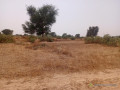 terrain-agricole-de-207-hectares-vers-tassette-thies-small-1