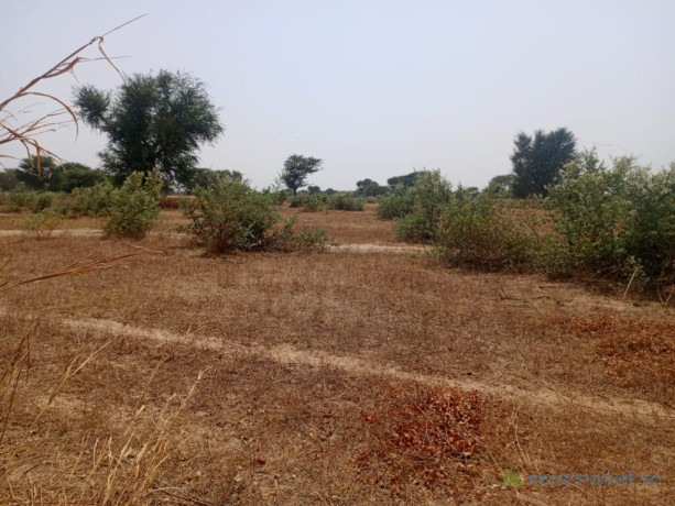 terrain-agricole-de-207-hectares-vers-tassette-thies-big-2