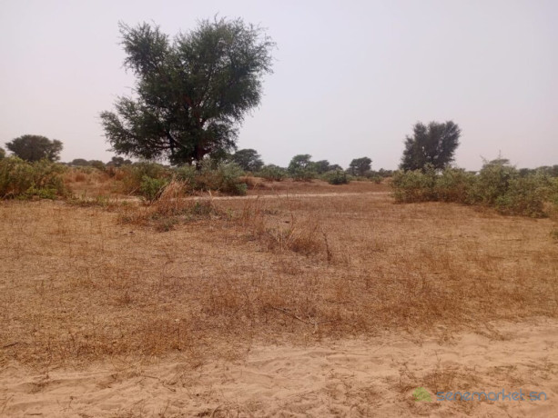 terrain-agricole-de-207-hectares-vers-tassette-thies-big-1