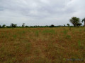 terrain-agricole-de-201-hectares-vers-tassette-thies-small-2