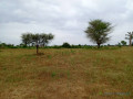 terrain-agricole-de-201-hectares-vers-tassette-thies-small-0