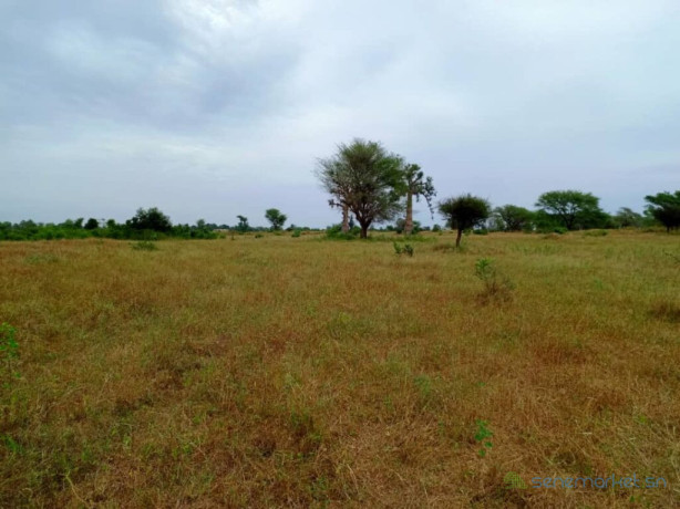 terrain-agricole-de-201-hectares-vers-tassette-thies-big-1