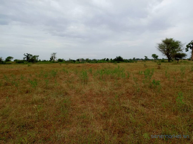 terrain-agricole-de-201-hectares-vers-tassette-thies-big-2