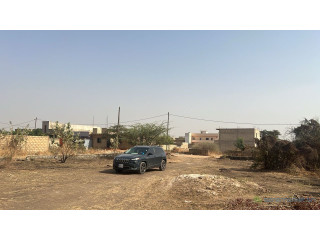 Terrains de 300 mètres carrés à vendre à Gandigal Sénégal