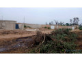 terrain-de-300-metres-carres-a-vendre-a-malicounda-sen-small-1
