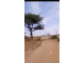 terrain-de-300-metres-carres-a-vendre-a-malicounda-sen-small-2