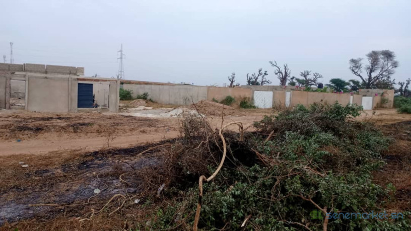 terrain-de-300-metres-carres-a-vendre-a-malicounda-sen-big-1