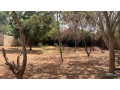 terrain-de-1004-metres-carres-a-vendre-a-somone-senegal-small-0