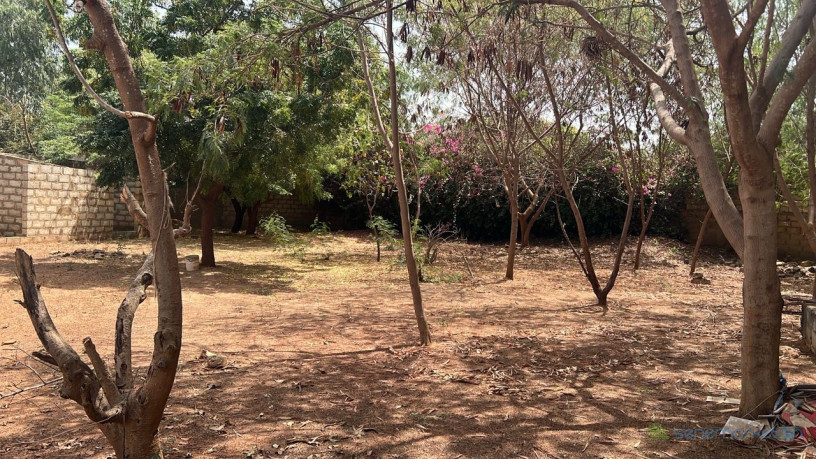 terrain-de-1004-metres-carres-a-vendre-a-somone-senegal-big-0