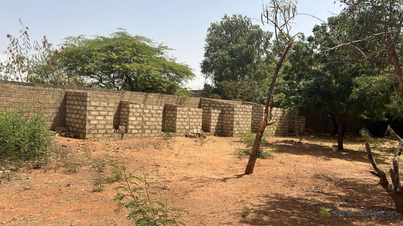 terrain-de-1004-metres-carres-a-vendre-a-somone-senegal-big-3