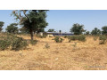 terrains-225-metres-carres-a-vendre-a-malicounda-kr-malick-ba-small-0