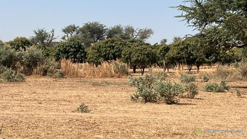 terrains-225-metres-carres-a-vendre-a-malicounda-kr-malick-ba-big-2