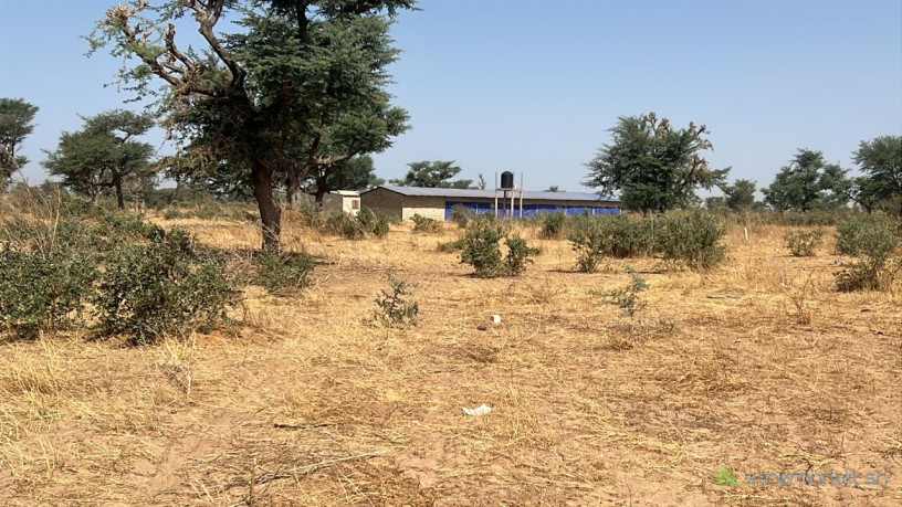 terrains-225-metres-carres-a-vendre-a-malicounda-kr-malick-ba-big-0