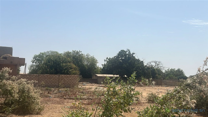 terrain-de-400m2-a-vendre-a-malicounda-senegal-big-2