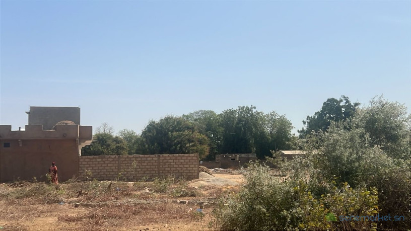 terrain-de-400m2-a-vendre-a-malicounda-senegal-big-0