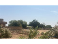 terrain-de-300-metres-carres-a-vendre-malicounda-small-3
