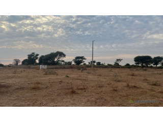 Terrains de 225 mètres carrés à vendre à Babel Sénégal