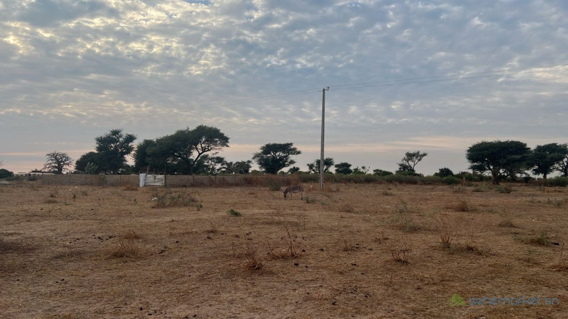 terrains-de-225-metres-carres-a-vendre-a-babel-senegal-big-0