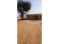 terrain-300-metres-carres-a-vendre-a-malicounda-falokh-small-3