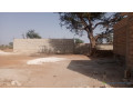 terrain-300-metres-carres-a-vendre-a-malicounda-falokh-small-2