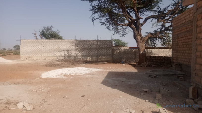 terrain-300-metres-carres-a-vendre-a-malicounda-falokh-big-2