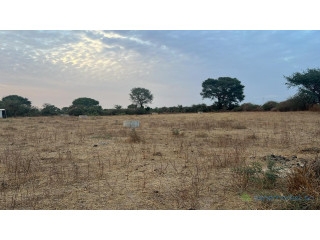 Terrains de 225 mètres carrés à vendre à Tène toubab