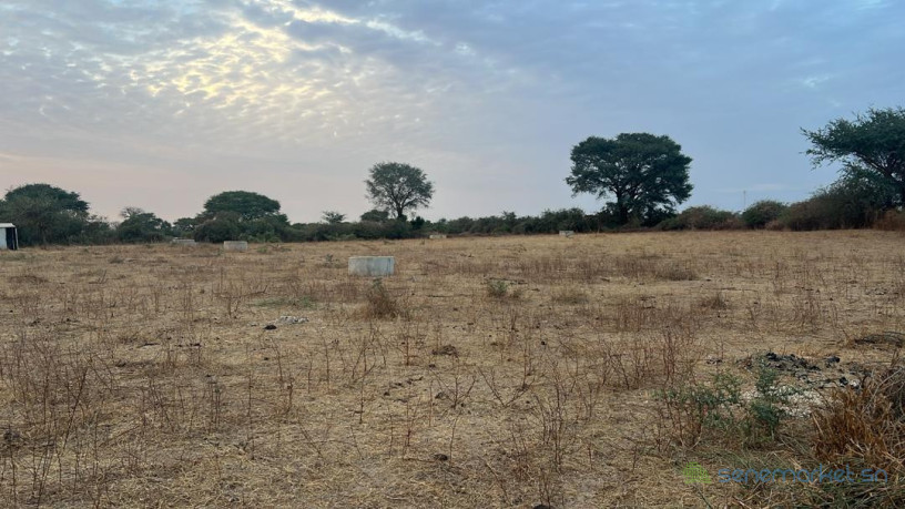 terrains-de-225-metres-carres-a-vendre-a-tene-toubab-big-0