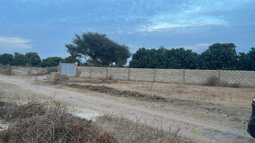 terrains-de-225-metres-carres-a-vendre-a-tene-toubab-big-2