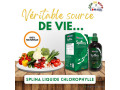 splina-liquide-chlorophyle-meilleure-boisson-de-sante-small-4