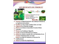splina-liquide-chlorophyle-meilleure-boisson-de-sante-small-1